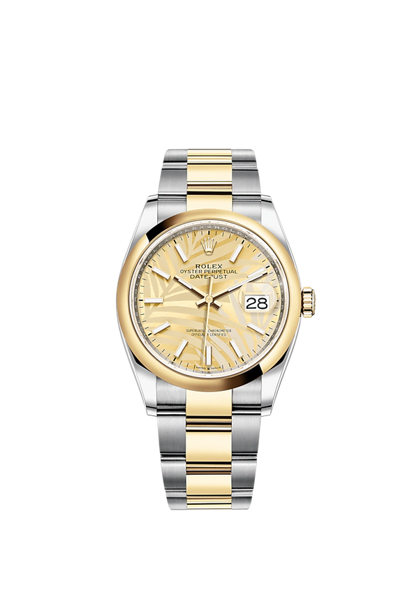 Datejust 36 36mm Oyster Bracelet Oystersteel and Yellow Gold with Golden Palm-Motif Dial Domed Bezel