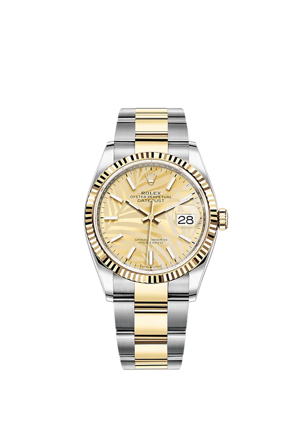 Datejust 36 36mm Oystersteel and Yellow Gold Oyster Bracelet Golden Palm-Motif Dial Fluted Bezel