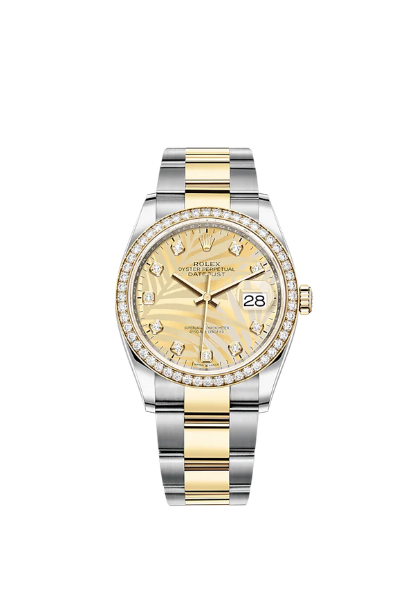 Datejust 36 36mm Oystersteel and Yellow Gold Oyster Bracelet Golden Palm-Motif Diamond-set Dial Diamond-set Bezel